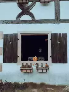 Read more about the article Secrets to Spooktacular Travel Savings with Miles and Points