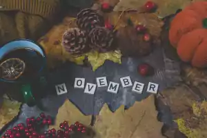 Read more about the article November’s Daily Deals